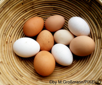 Braune und weiße Eier in einem Weidekorb